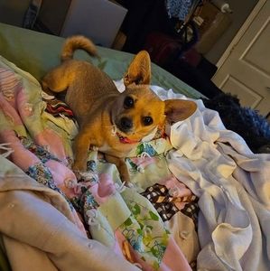 Meet your Posher, Doris